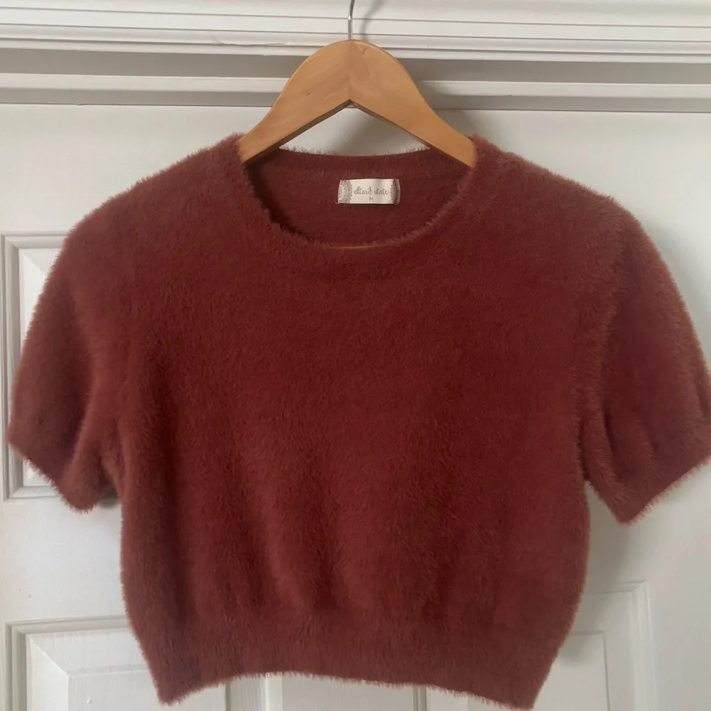 Altar’d State Fuzzy Cropped Short Sleeve Sweater Top Size M Rust Brown Soft Cozy